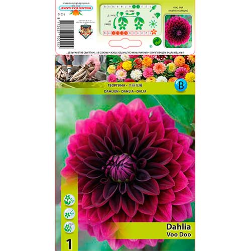 Dalia Voo Doo interface.image 1 interface.art 76561