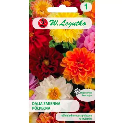 Dalia zmienna karłowa Unwins, mix interface.image 1 interface.art 78549