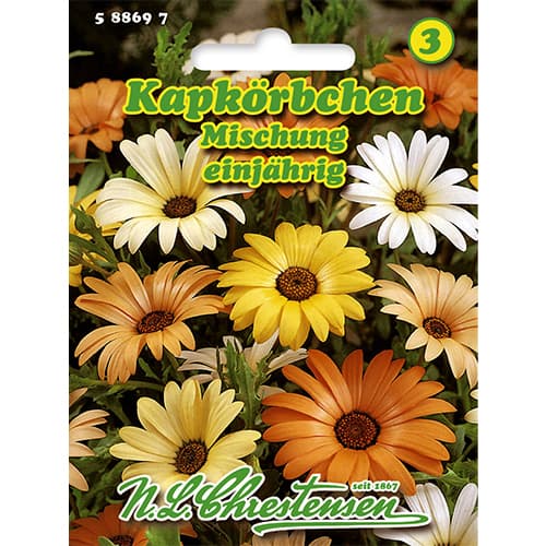 Dimorfoteka zatokowa, mix kolorow interface.image 1 interface.art 86148