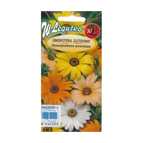 Dimorfoteka (Złotokwiat), mix interface.image 1 interface.art 69581