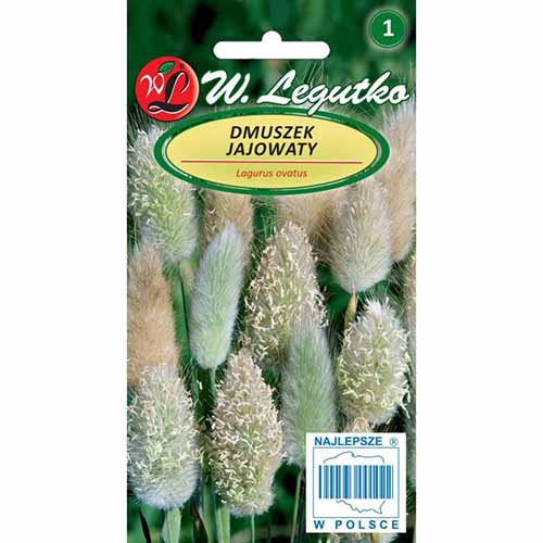 Dmuszek jajowaty Legutko interface.image 1 interface.art 96696