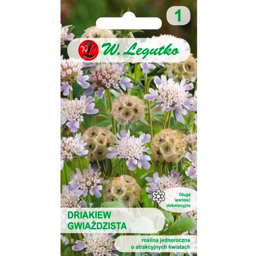 Driakiew gwiaździsta, mix kolorow interface.image 1 interface.art 96697