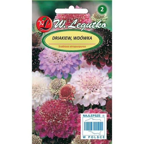 Driakiew kaukaska, mix interface.image 1 interface.art 87856