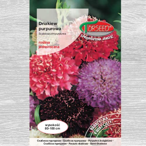 Driakiew purpurowa, mieszanka interface.image 1 interface.art 77524