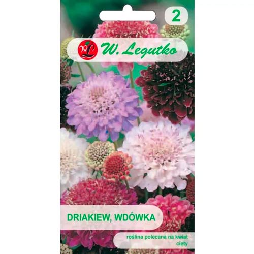 Driakiew Wdówka, mix interface.image 1 interface.art 96698