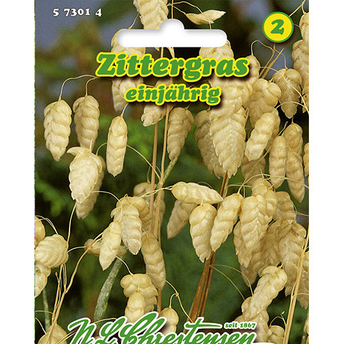 Drżączka większa Chrestensen interface.image 1 interface.art 86125