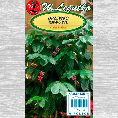 Drzewko kawowe Legutko interface.art zdjęcie 1 Drzewko kawowe Legutko interface.image 1 interface.art 69583