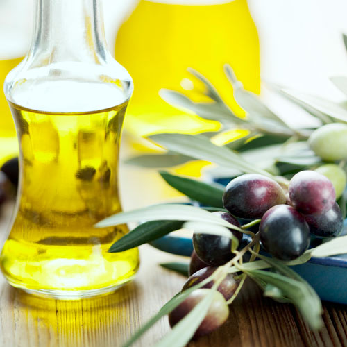 Drzewo oliwne (Oliwka) Piqual interface.image 2 interface.art 7965