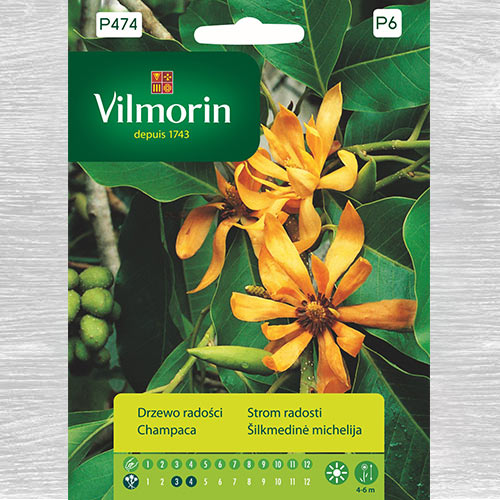 Drzewo radości (Michelia champaca) interface.image 1 interface.art 77675