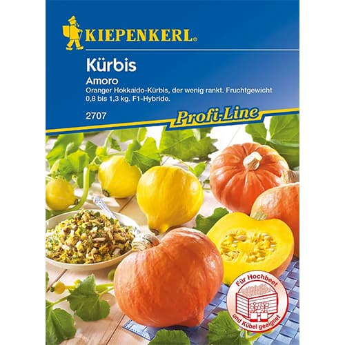 Dynia Amoro interface.art zdjęcie 1 Dynia Amoro interface.image 1 interface.art 86468