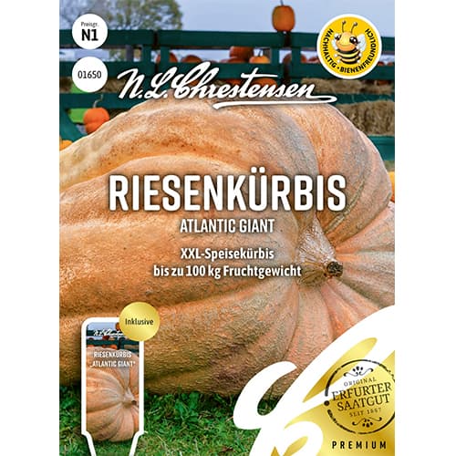 Dynia Atlantic Giant interface.image 1 interface.art 87848