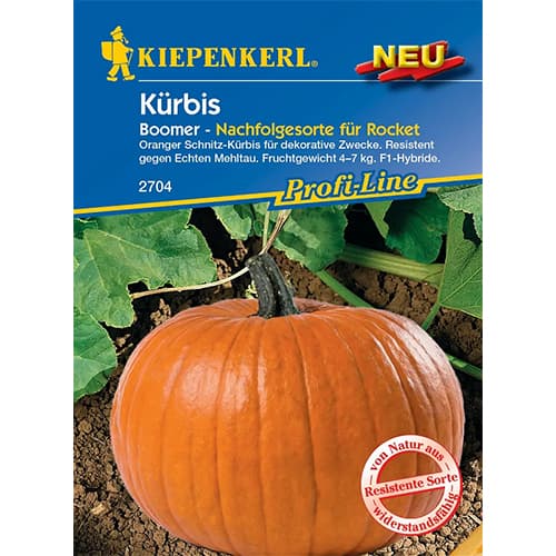 Dynia Boomer interface.image 1 interface.art 87786