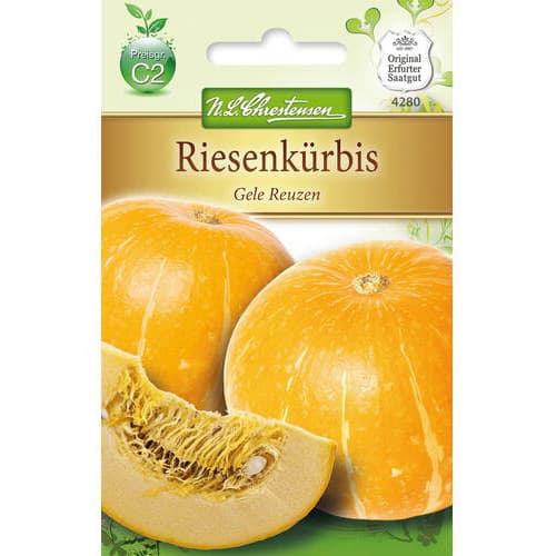 Dynia Gele Reuzen interface.image 1 interface.art 78795