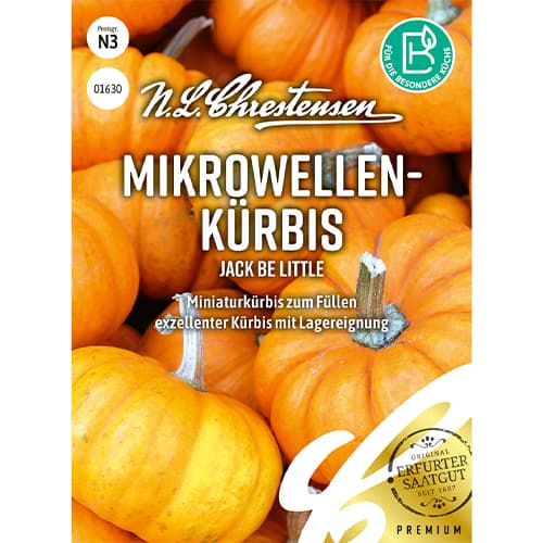 Dynia Jack Be Little interface.image 1 interface.art 86060