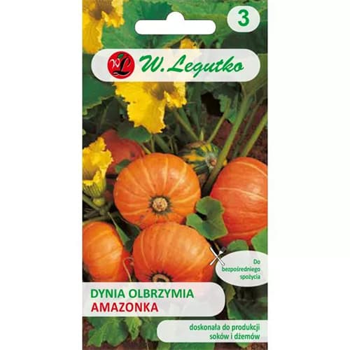 Dynia Amazonka interface.image 1 interface.art 69459