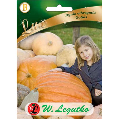 Dynia Golias interface.art zdjęcie 1 Dynia Golias interface.image 1 interface.art 86829