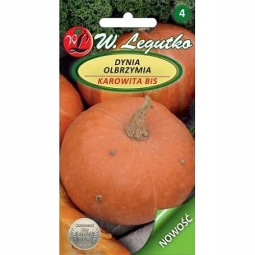 Dynia olbrzymia Karowita Bis interface.art zdjęcie 1 Dynia olbrzymia Karowita Bis interface.image 1 interface.art 86851