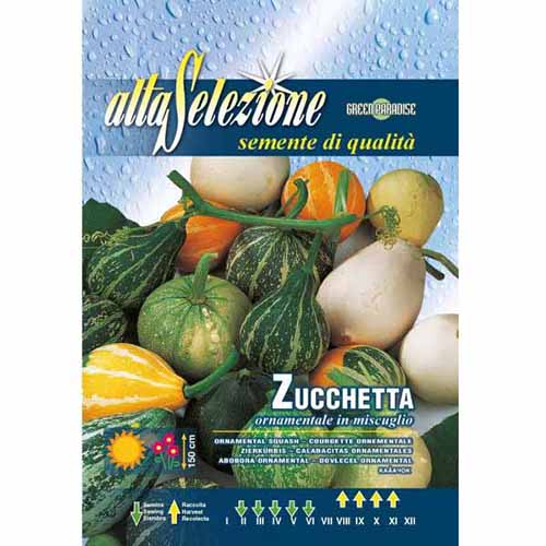 Dynia ozdobna, mieszanka kolorów Morami interface.art zdjęcie 1 Dynia ozdobna, mieszanka kolorów Morami interface.image 1 interface.art 96334