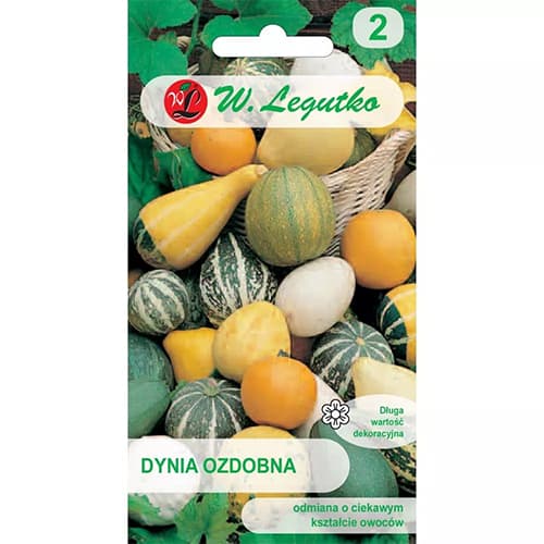 Dynia ozdobna, mix kolorow interface.image 1 interface.art 69584