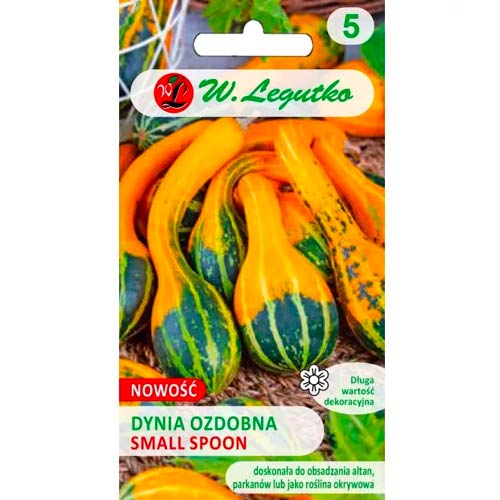 Dynia ozdobna Small Spoon interface.image 1 interface.art 96769