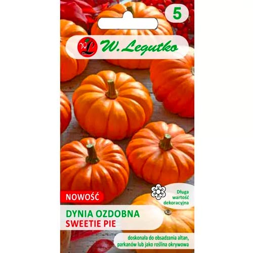 Dynia ozdobna Sweetie Pie interface.art zdjęcie 1 Dynia ozdobna Sweetie Pie interface.image 1 interface.art 96770