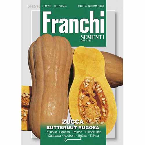 Dynia piżmowa Butternut Rugosa Morami interface.art zdjęcie 1 Dynia piżmowa Butternut Rugosa Morami interface.image 1 interface.art 87151