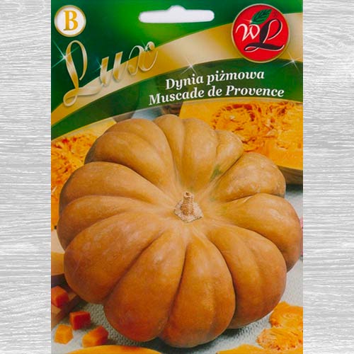 Dynia piżmowa Muscade de Provence interface.image 1 interface.art 69463