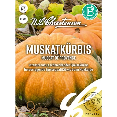 Dynia Muscat de Provence interface.image 1 interface.art 86071