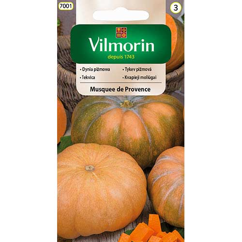 Dynia piżmowa Musquee de Provence Vilmorin interface.art zdjęcie 1 Dynia piżmowa Musquee de Provence Vilmorin interface.image 1 interface.art 77708