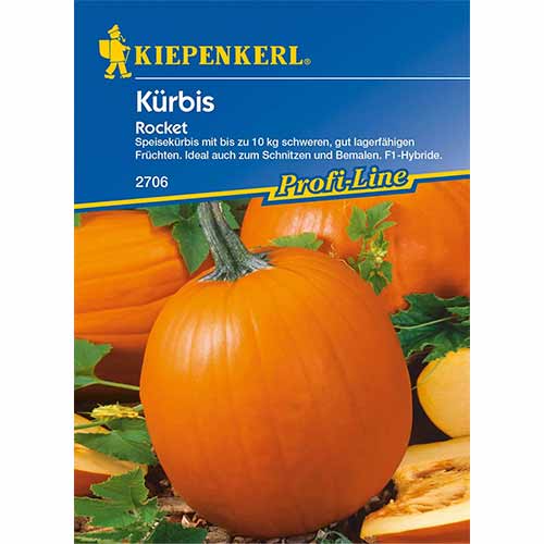Dynia piżmowa Rocket F1 Kiepenkerl interface.image 1 interface.art 96629