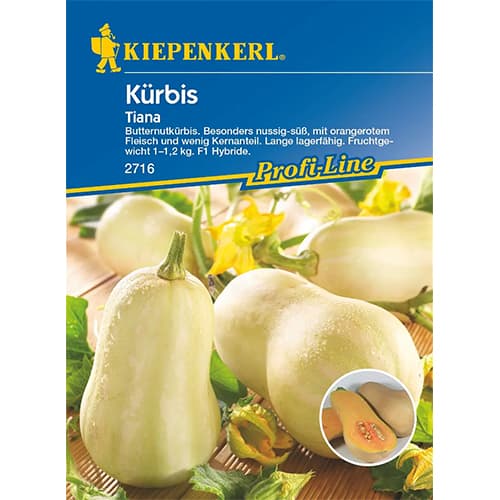 Dynia Tiana interface.image 1 interface.art 87282