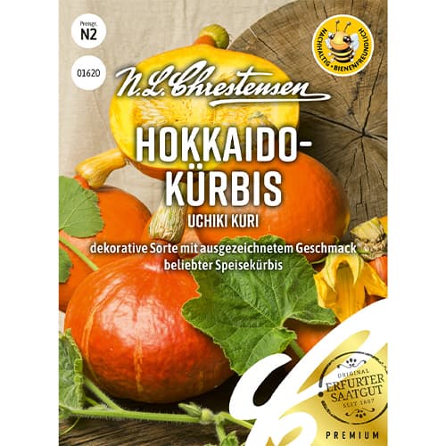 Dynia Uchiki Kuri interface.image 1 interface.art 86050