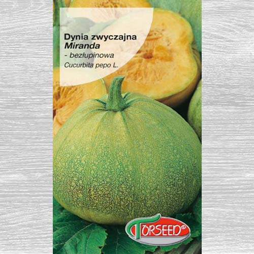 Dynia zwyczajna Miranda  interface.art zdjęcie 1 Dynia zwyczajna Miranda  interface.image 1 interface.art 66661