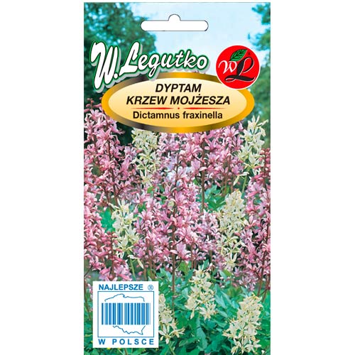 Dyptam Krzew Mojżesza, mix interface.image 1 interface.art 50092