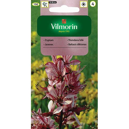 Dyptam (Krzew Mojżesza) różowy Vilmorin interface.image 1 interface.art 77677