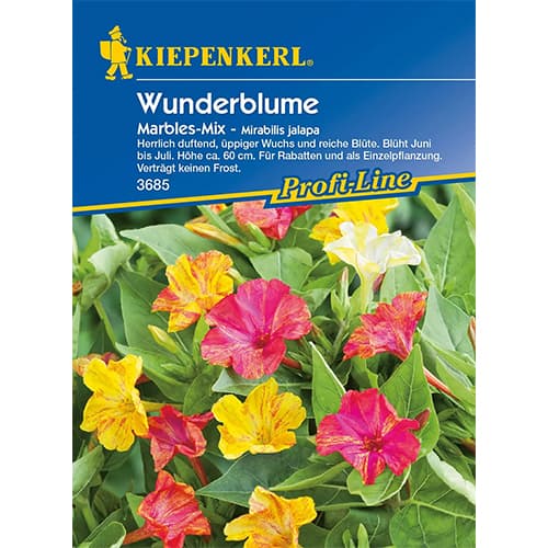 Dziwaczek (Mirabilis), mix kolorow interface.image 1 interface.art 87762