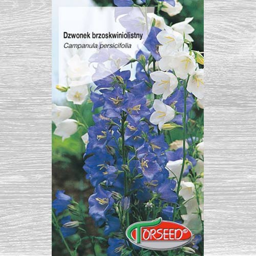 Dzwonek brzoskwiniolistny, mieszanka interface.art zdjęcie 1 Dzwonek brzoskwiniolistny, mieszanka interface.image 1 interface.art 77526