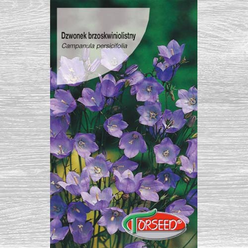 Dzwonek brzoskwiniolistny niebieski interface.image 1 interface.art 77527
