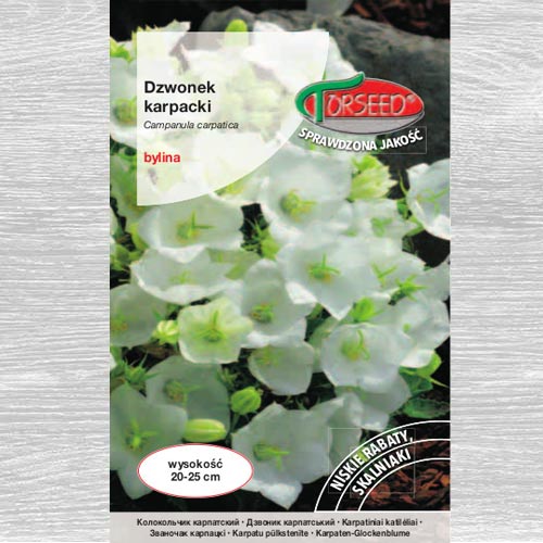 Dzwonek karpacki biały interface.image 1 interface.art 77528