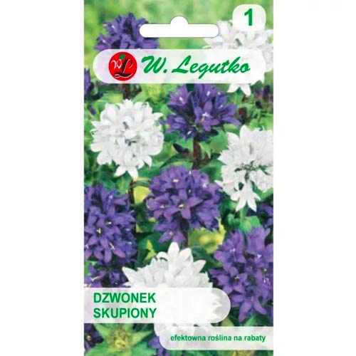 Dzwonek skupiony, mix interface.art zdjęcie 1 Dzwonek skupiony, mix interface.image 1 interface.art 50098