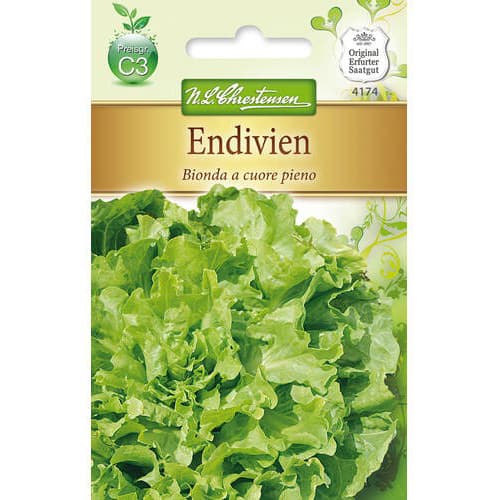 Salata endywia Bionda a cuore pieno interface.image 1 interface.art 78763