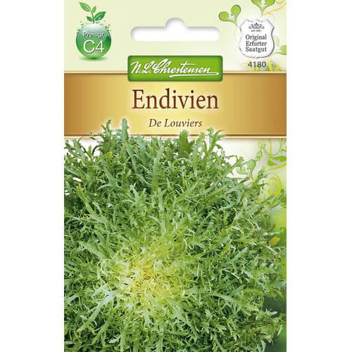 Salata endywia De Louviers interface.image 1 interface.art 78765