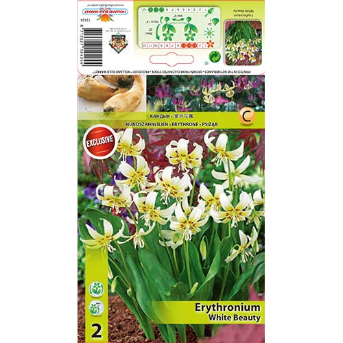 Psiząb White Beauty interface.image 1 interface.art 67351