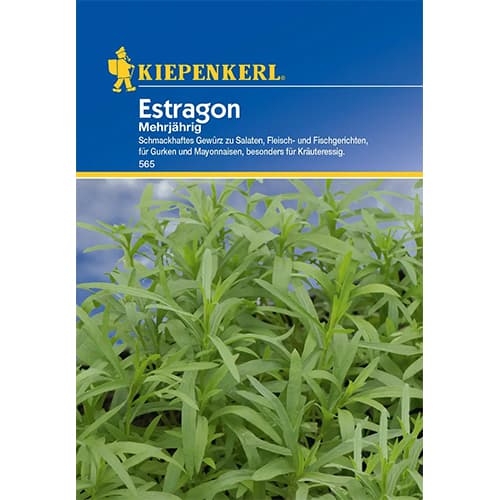 Estragon wieloletni interface.image 1 interface.art 77498