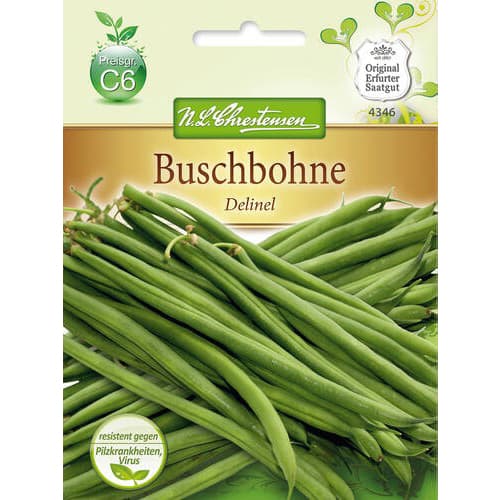 Fasola szparagowa Delinel interface.image 1 interface.art 78816