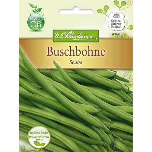 Fasola szparagowa Scuba interface.image 1 interface.art 78825