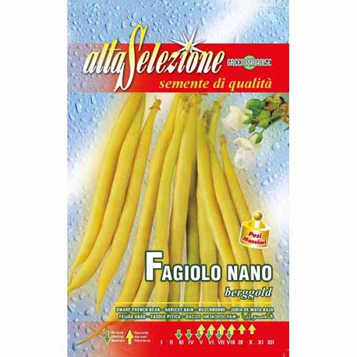 Fasola szparagowa Berggold Morami interface.image 1 interface.art 96381