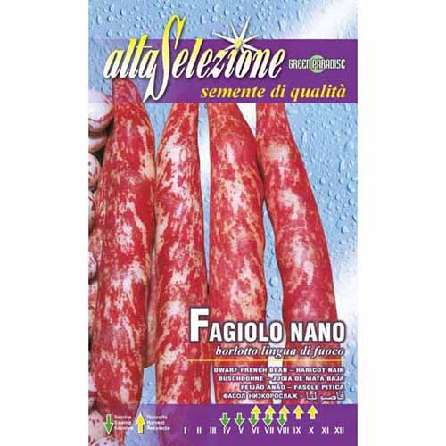 Fasola szparagowa Borlotto lingua di fuoco Morami interface.image 1 interface.art 96382