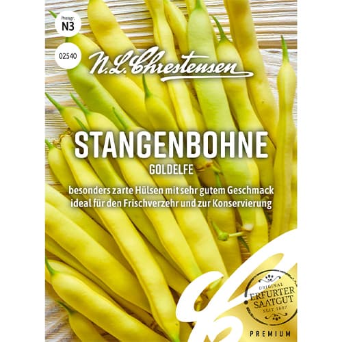 Fasola szparagowa Goldelfe interface.image 1 interface.art 86097