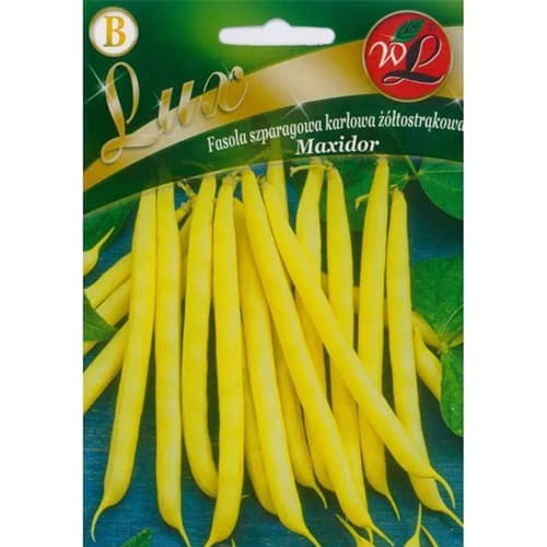 Fasola szparagowa karłowa Maxidor interface.image 1 interface.art 96818